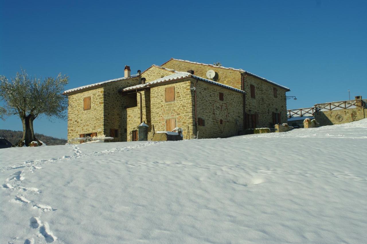 Agriturismo D'Ambiano Arezzo Exteriér fotografie