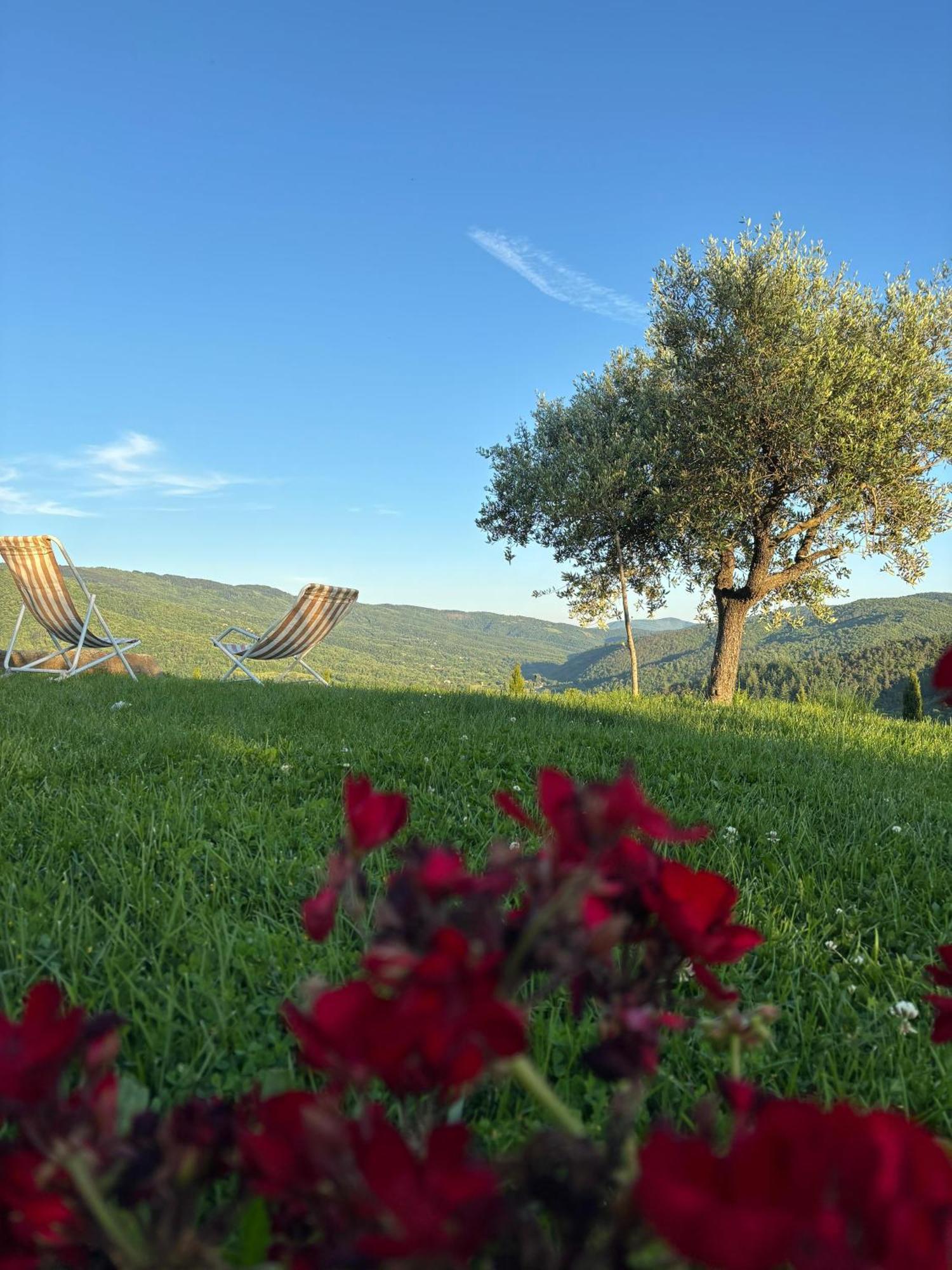 Agriturismo D'Ambiano Arezzo Exteriér fotografie